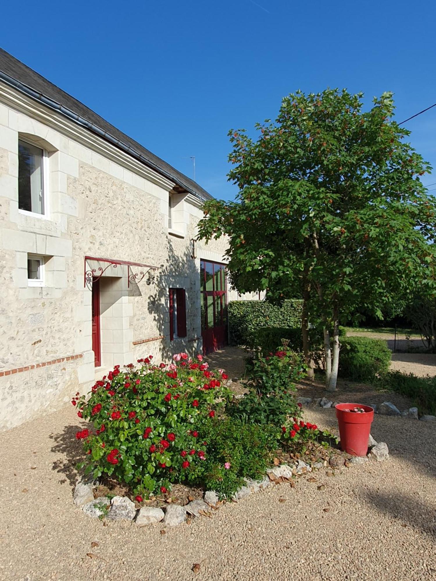 Bed and Breakfast Au Domaine Du Bois Joubert Luzillé Exterior foto
